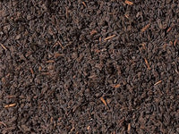 Nr.021 Schwarzer Tee Ceylon BOP Aislaby