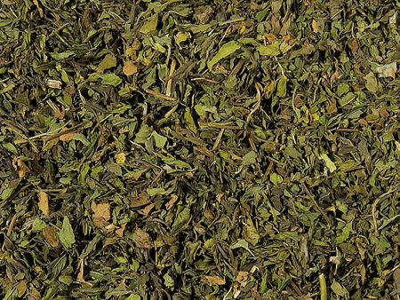 Nr.302 Nana Minze-Spearmint geschnitten